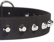1 Row Studs Dog Collar-1 1/4" for Bulldog