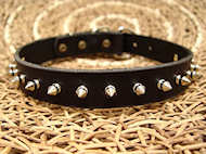 Bulldog Leather Spiked Dog Collar-1 row with Silver Spikes