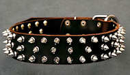 APBT Leather Spiked Dog Collar - 3 Rows of spikes - BEST COLLAR
