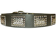 NEW LEATHER DOG COLLAR For BulldogS with Vintage Plates