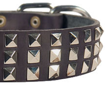 Silver Pyramid Leather Dog Collar for Bulldog