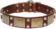 Bulldog Leather Dog Collar- brass massive + 2 pyramids