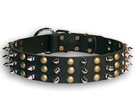 Best Studs and Spikes leather dog collar for all breeds
