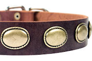 High Quality Leather Dog Collar for Bulldog High Quality Leather Dog Collar for Bulldog