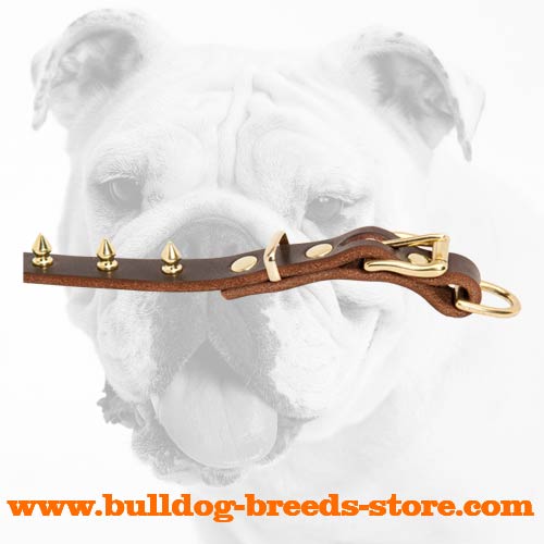 Brass Spikes and Fittings of Leather Bulldog Collar for Walking