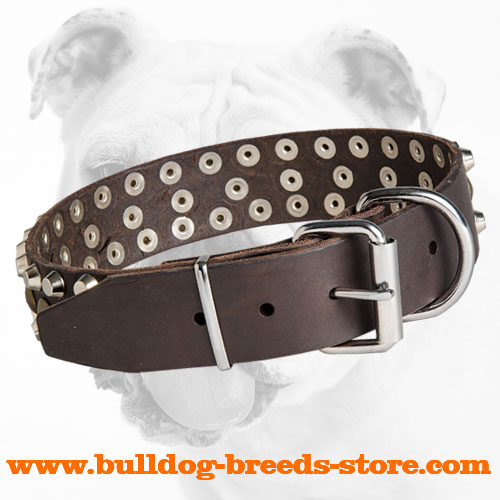 Steel Nickel Plated Buckle on Leather Bulldog Collar with Stylish Decorations