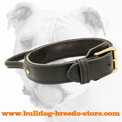 Ply Leather Bulldog Collar with Buckle for Walking