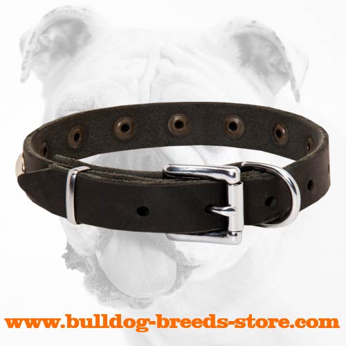 Adjustable Walking Leather Bulldog Collar with Strong Nickel Buckle