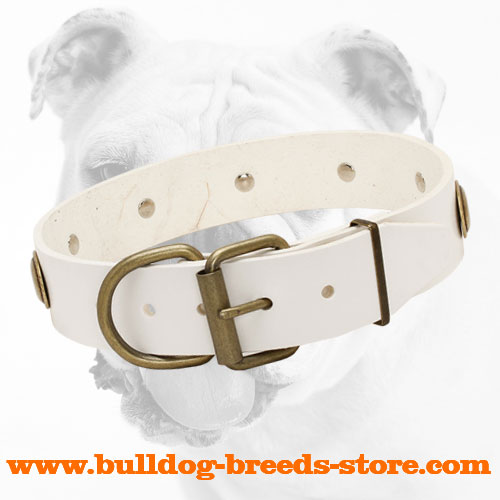 Strong Buckle on Adjustable Leather Dog Collar for Bulldog with Oval Plates