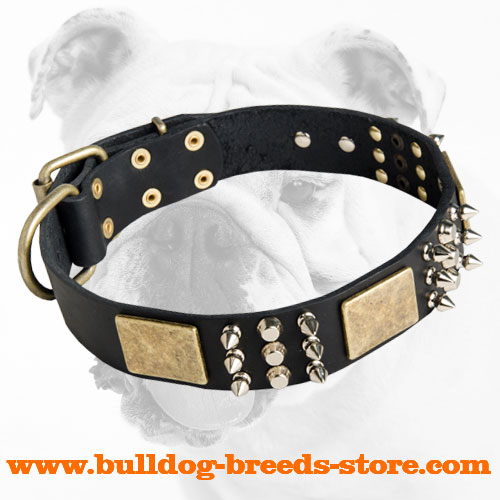 Leather Bulldog Collar with Nickel Studs, Spikes and Brass Plates