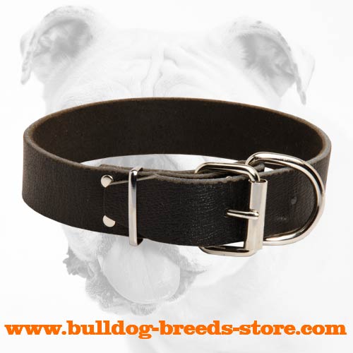Hand-Made Leather Bulldog Collar with Nickel Fittings