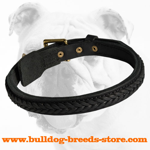 Walking Braided Leather Bulldog Collar