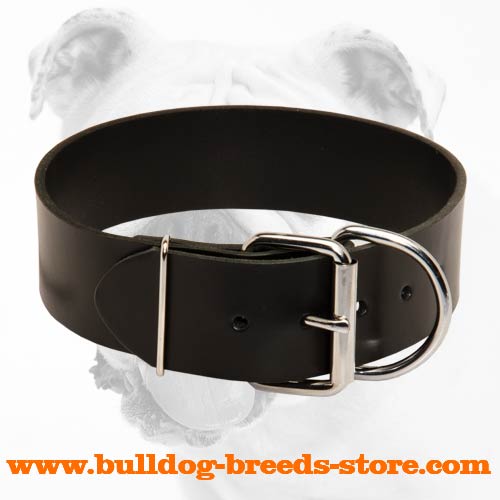 Simple Walking Leather Bulldog Collar with Buckle