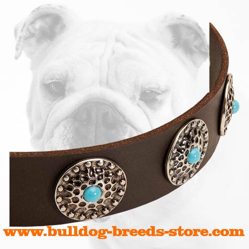 Nickel Circles with Blue Stones on Training Leather Bulldog Collar