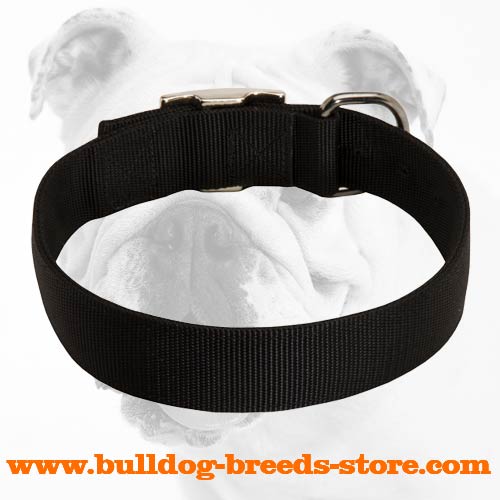 Wide Training Nylon Bulldog Collar