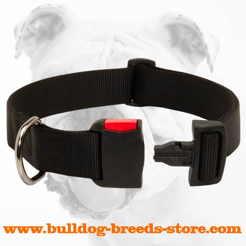 Durable Walking Nylon Bulldog Collar