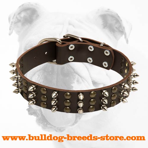 Adjustable Designer Walking Leather Dog Collar for Bulldog