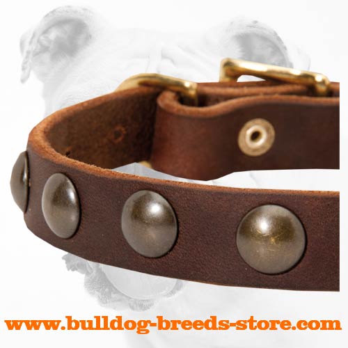 Half Balls on Durable Adjustable Walking Leather Dog Collar for Bulldog
