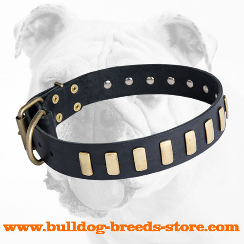 Durable Adjustable Walking Leather Dog Collar with Plates for Bulldog 