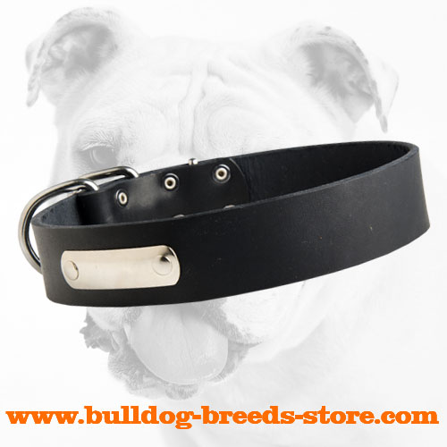 Adjustable Leather Dog Collar for Bulldog with Name Tag