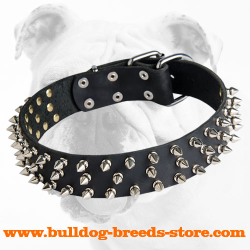 Durable Spiked Leather Dog Collar for Bulldog Breeds