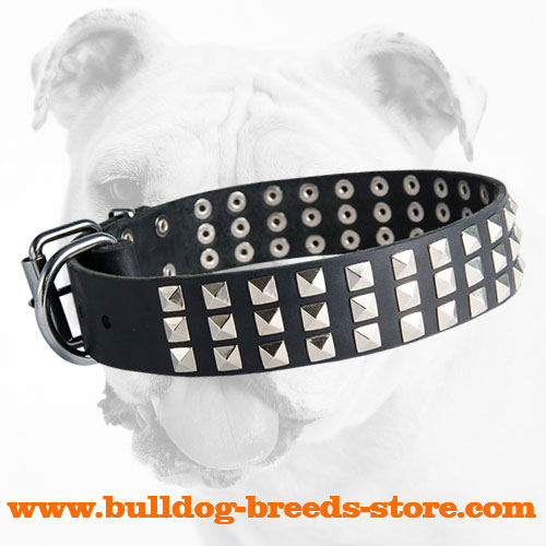 Fabulous Leather Bulldog Collar with Pyramids