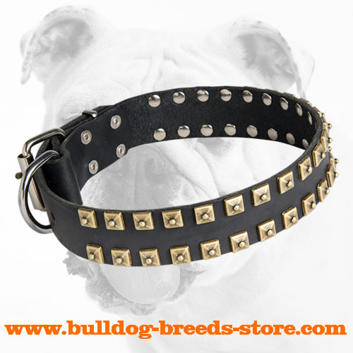 Training Designer Leather Dog Collar with Studs for Bulldog