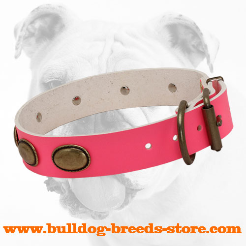 Training Designer Pink Leather Dog Collar for Bulldog with Brass Buckle