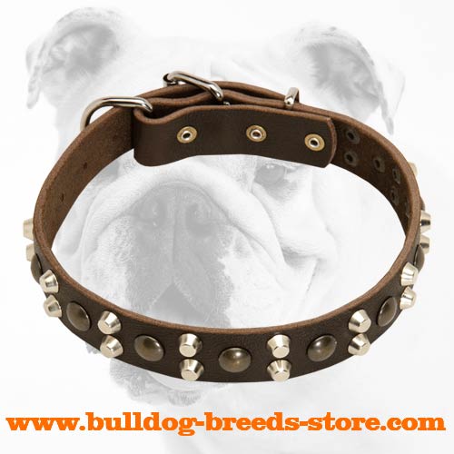 Super Strong Designer Walking Leather Bulldog Collar with Studs and Pyramids