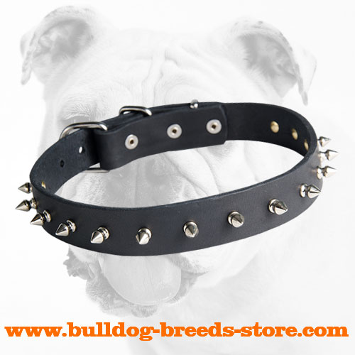 Stylish Handling Spiked Leather Dog Collar for Bulldog