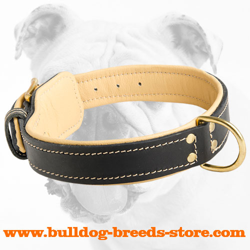 Soft Nappa Padded Leather Bulldog Collar with D-ring for Training