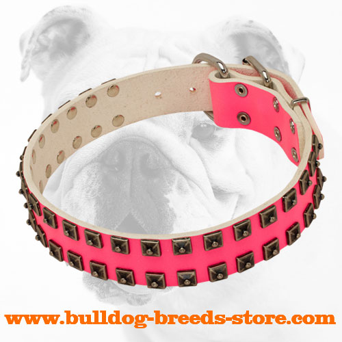 Stylish Studded Pink Walking Leather Bulldog Collar