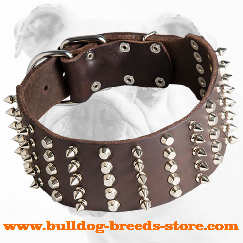 Spiked and Studded Walking Leather Bulldog Collar