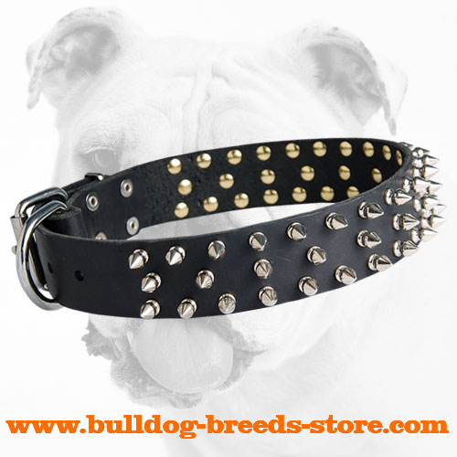 Training Leather Bulldog Collar with Spikes