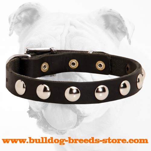 Training Studded Leather Dog Collar for Bulldog