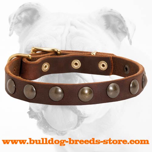 Stylish Training Studded Leather Dog Collar for Bulldog