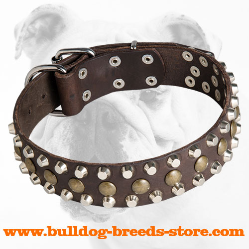 Designer Studded Leather Bulldog Collar for Regular Training 