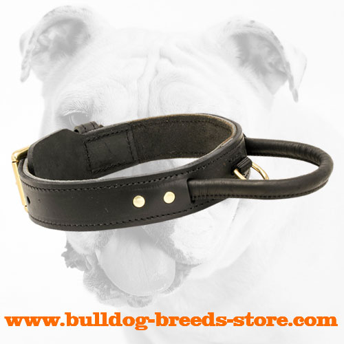 Obedience Training Leather Bulldog Collar with Handle