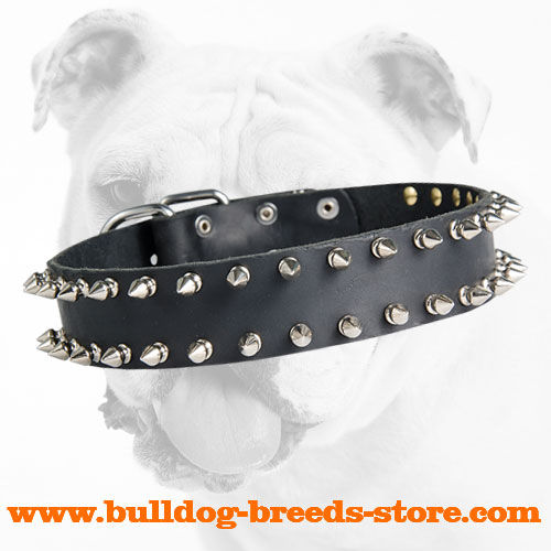Stylish Training Spiked Leather Dog Collar for Bulldog