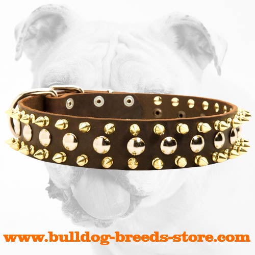 Wide Comfortable Training Leather Bulldog Collar with Spikes and Studs