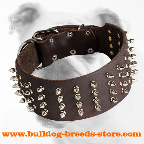 Designer Wide Spiked Leather Bulldog Collar for Walking
