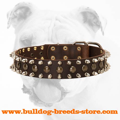 Stylish Walking Leather Bulldog Collar with Spikes and Studs