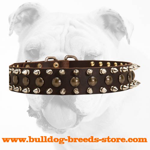 Strong Extra Wide Training Leather Bulldog Collar