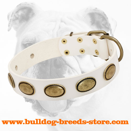 White Wide Walking Leather Bulldog Collar with Oval Plates