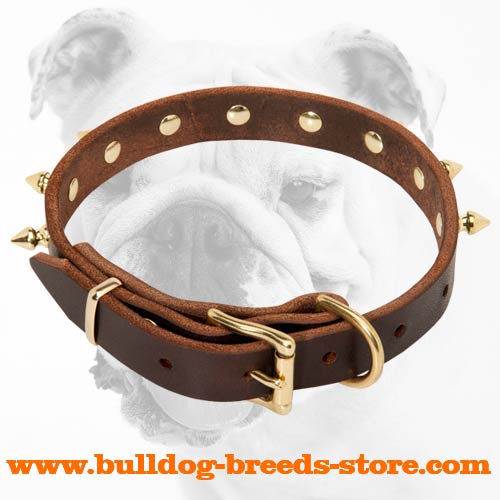 Adjustable Training Leather Bulldog Collar with Durable Buckle