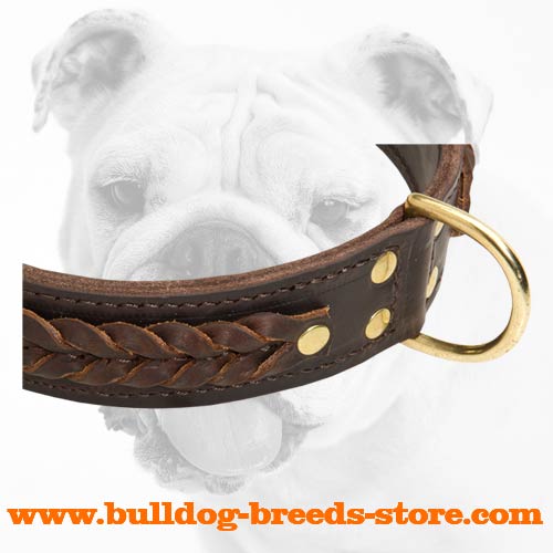 Braided Walking Leather Bulldog Collar with D-ring