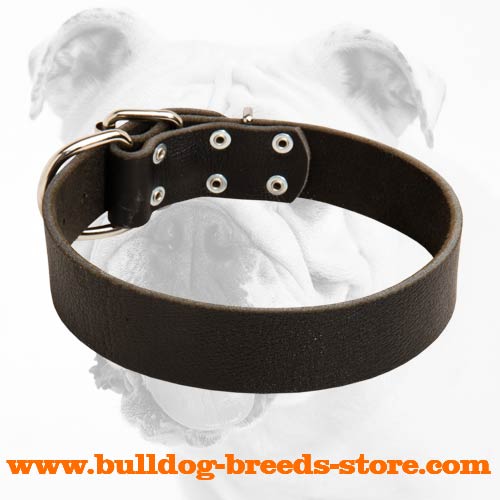 Adjustable Leather Bulldog Collar for Training