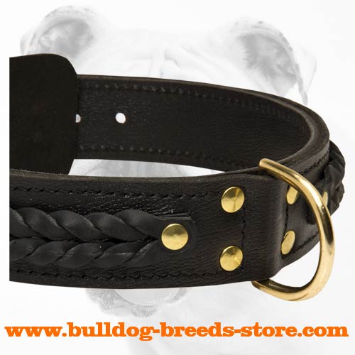 Training Braided Leather Bulldog Collar with Brass D-Ring