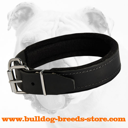 Agitation Training Padded Leather Bulldog Collar