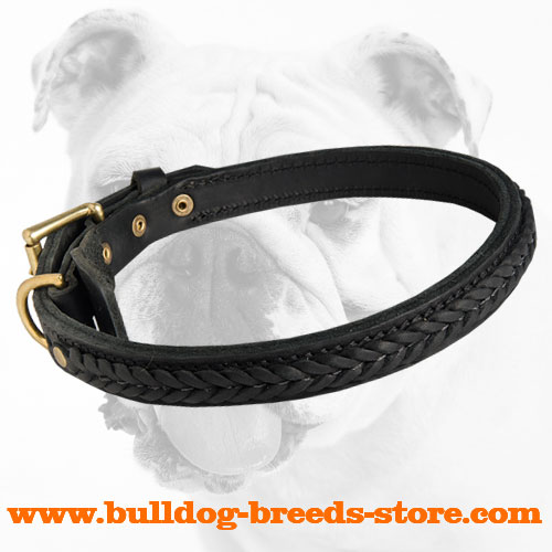 Practical Leather Bulldog Collar with Brass D-Ring